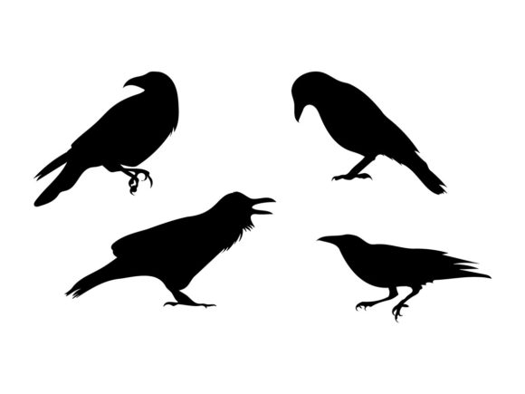 Download Raven Bundle SVG - Bundle Collection